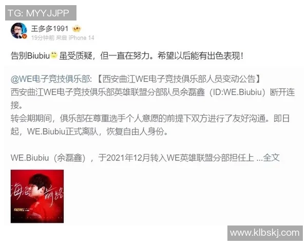 独家深度解析：WE战队与其他战队实力对比全景分析